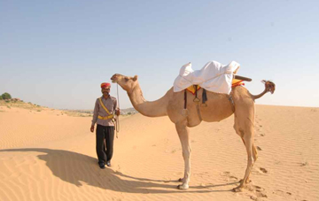 Jodhpur Osian Jaisalmer Tour